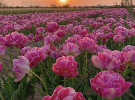 изображение_viber_2022-04-29_15-58-32-976