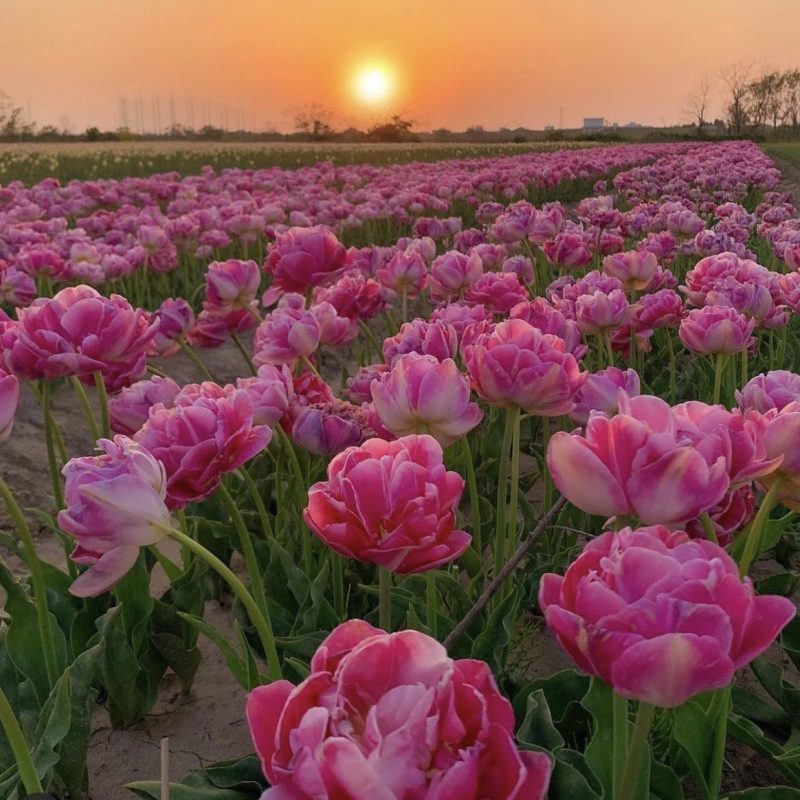 изображение_viber_2022-04-29_15-58-32-976