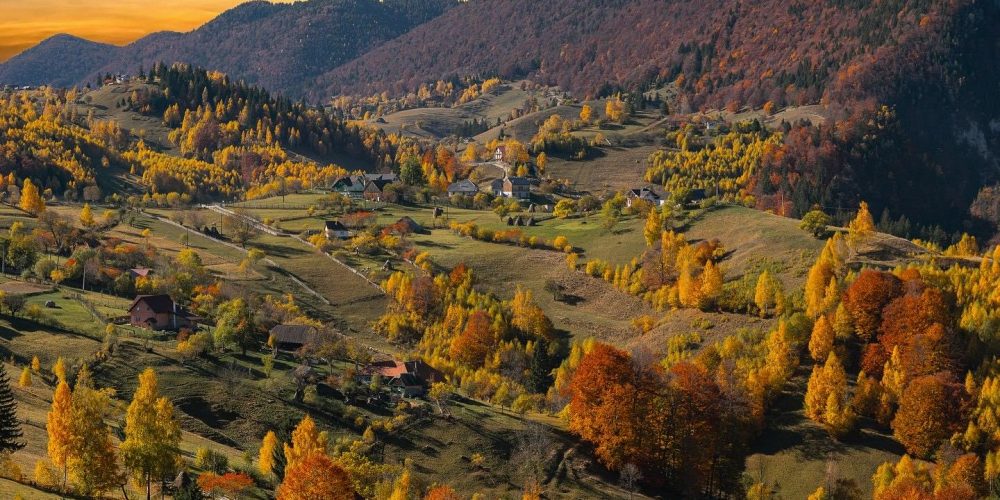 изображение_viber_2026-10-22_16-16-01-844