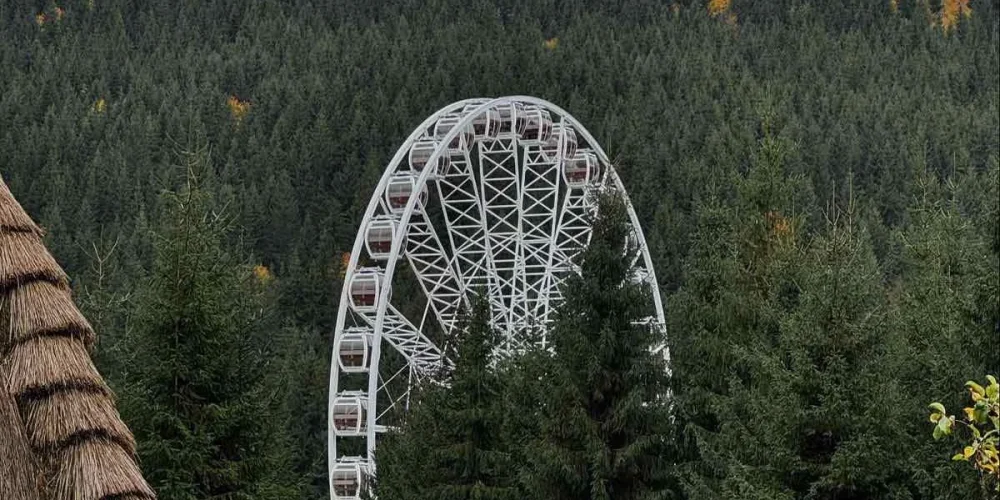 зображення_viber_2025-11-16_10-52-07-113